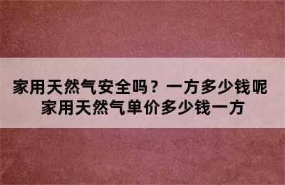 家用天然气安全吗？一方多少钱呢 家用天然气单价多少钱一方